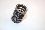 04 Honda Trx250ex A Oem Outer Valve Spring 14751-HN6-000 AHS