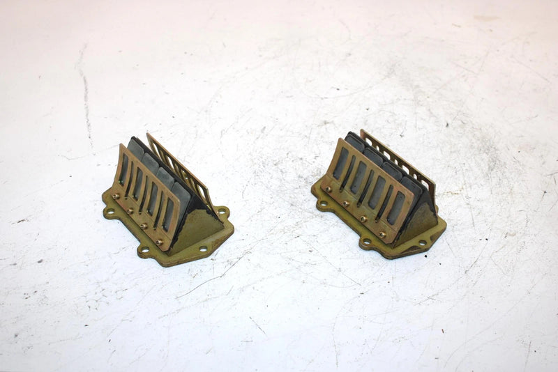 01 Arctic Cat Mountain Cat 800 Oem Reed Valve Pair 3005-876 SAS9