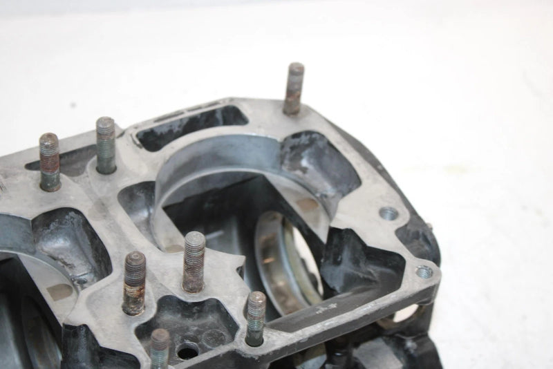 94 Arctic Cat Wildcat 700 Efi Oem Crankcase 3003-940 SAS12