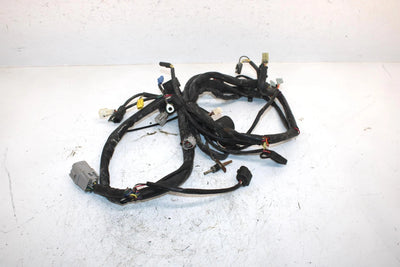 06 Arctic Cat Sabercat 600 Efi Lx Oem Main Wire Harness 1686-262 SAS10