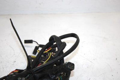 01 Arctic Cat Mountain Cat 800 Oem Main Wire Harness 0686-700 SAS9