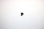 1997 Ski-doo Vmax 700 Sx Oem Needle Valve Screw 2LN-14565-00-00 Q4630