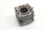 Polaris Sp Oem Std 62.50mm Bore Cylinder Jug 3085302 B48