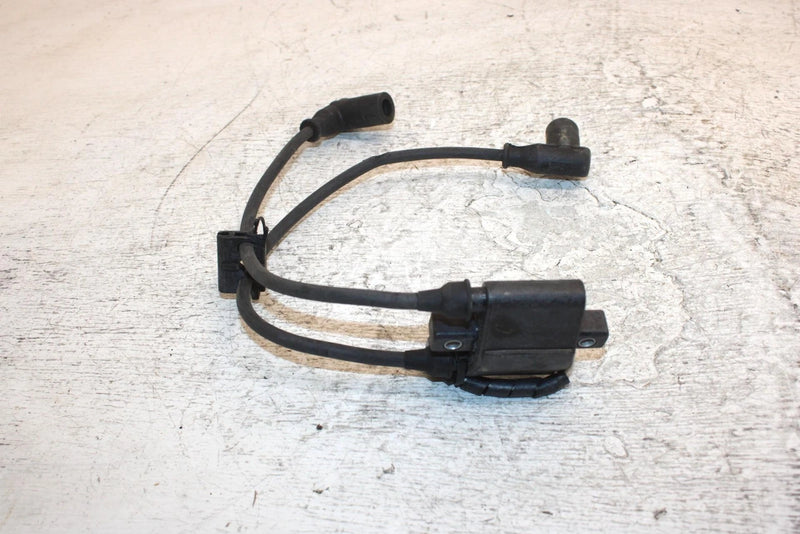2001 Polaris 800 Le Oem Ignition Coil 4060229 4016199 SP22