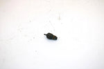 94 Polaris Indy 440 L/c Oem Temperature Sensor 3083055 Q710