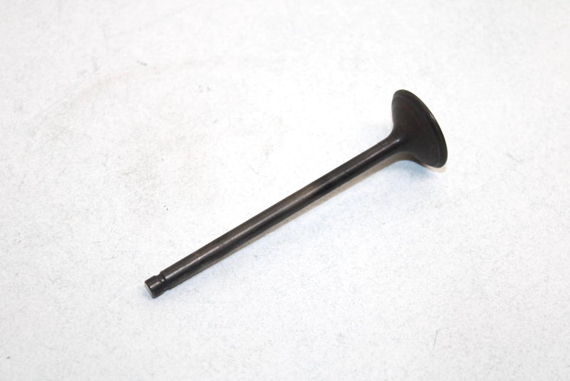 96 Kawasaki Bayou 400 4x4 Oem Exhaust Valve 12005-1189 AK11