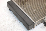 03 Bombardier Rally 175 Oem Radiator A19100179000 AB7