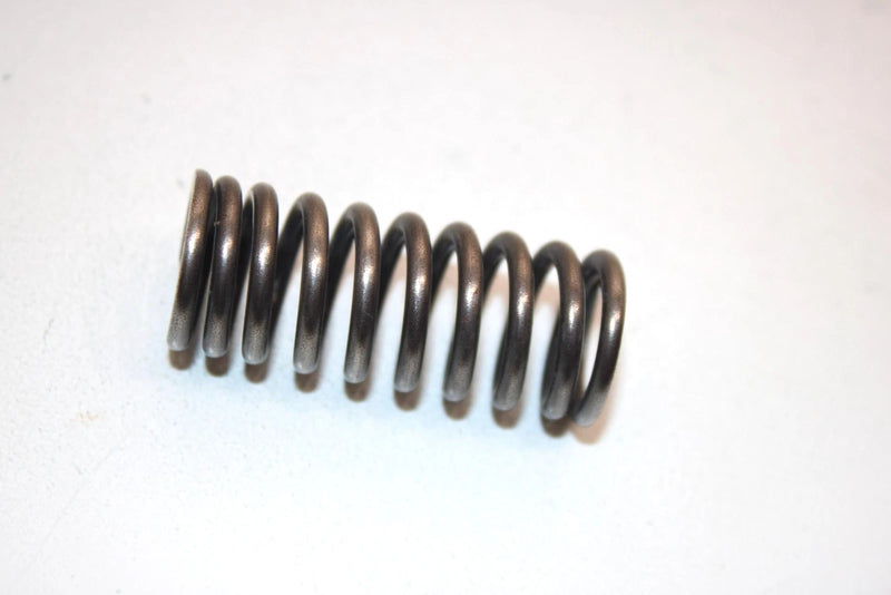 04 Honda Trx250ex A Oem Inner Valve Spring 14761-HN6-000 AHS