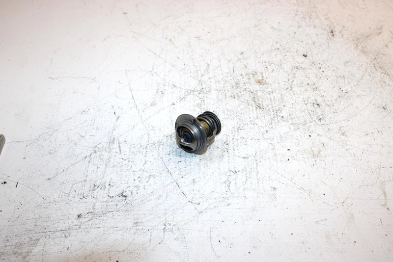 2004 Honda Fourtrax Rincon Oem Thermostat 19300-HN8-003 19300-HN8-305 AH2