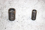 2006 Polaris Predator 500 Oem Inner/OuterValve Spring (Set) 3087984 3087983 AP63