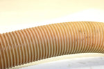 1996 Sea-doo Gsx Oem Oil Fill Hose 275000188 JS14