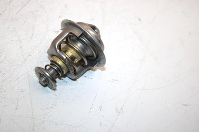 08 Arctic Cat F1000 Sno Pro Efi Oem Thermostat And Cover 3007-304 3007-041 SAS9