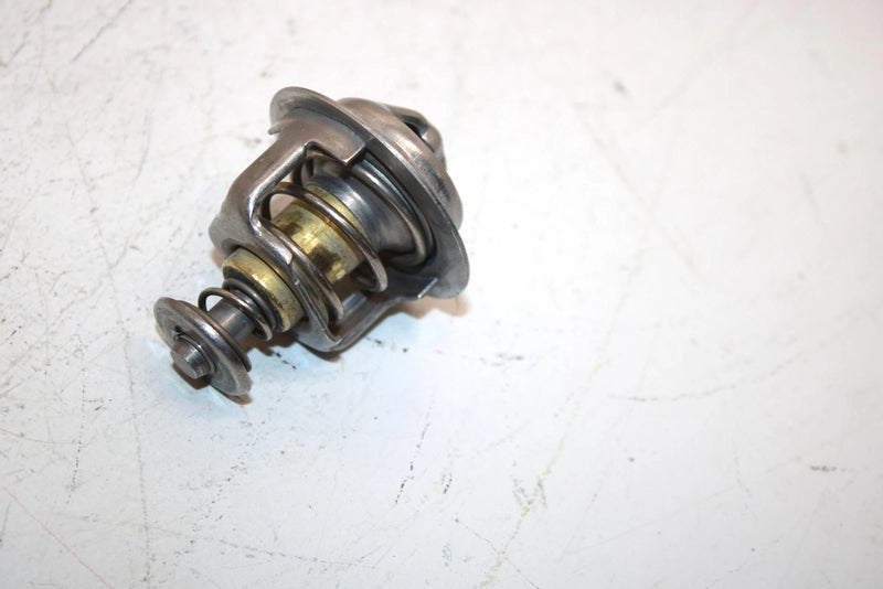 08 Arctic Cat F1000 Sno Pro Efi Oem Thermostat And Cover 3007-304 3007-041 SAS9