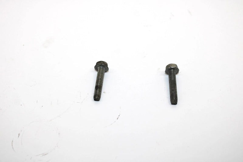 Ski-doo Oem Taptite Screw M5x25 Pair 420241271 Q4352