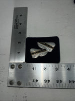 New Women’s Montana Silversmiths Gold Silver Black Collar Tips. CT4 A-37