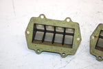 01 Arctic Cat Mountain Cat 800 Oem Reed Valve Pair 3005-876 SAS9