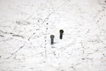 2001 Ski-doo Mxz 800 Oem Float Bowl Screw Pair 404161906 SS19