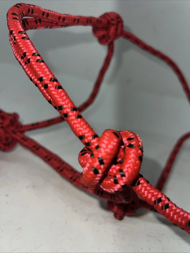 New Tough Red 1 Poly Rope Halter And 8” Lead Rope #50-1010 G-505