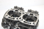 04 Arctic Cat Zr 900 Sno Pro Efi Oem Crankcase 3006-460 SA54
