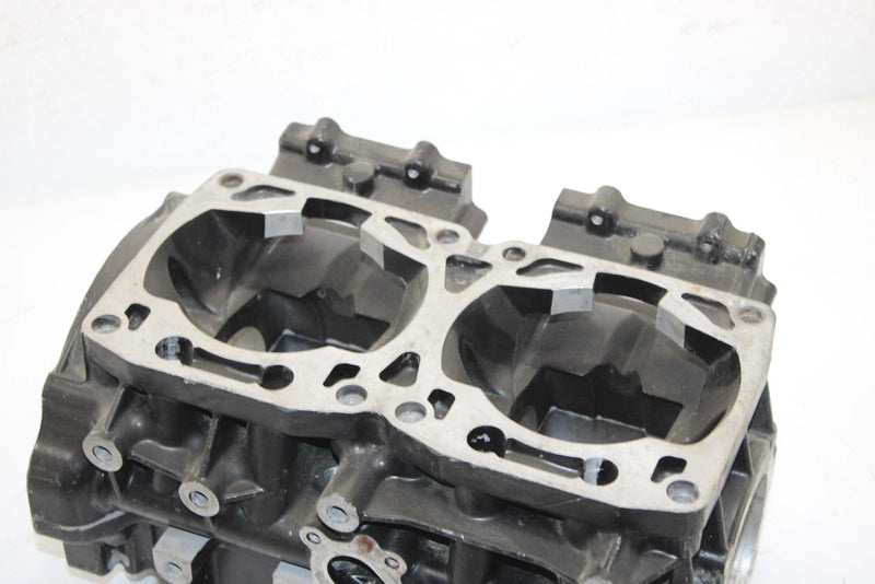 04 Arctic Cat Zr 900 Sno Pro Efi Oem Crankcase 3006-460 SA54
