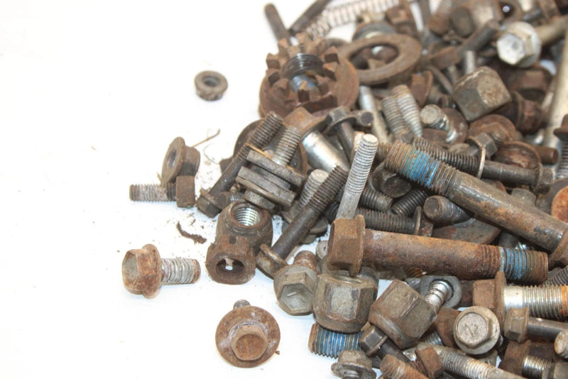 2009 Suzuki Lt-a400f Oem Nut Bolt Spacer Hardware Kit AS26