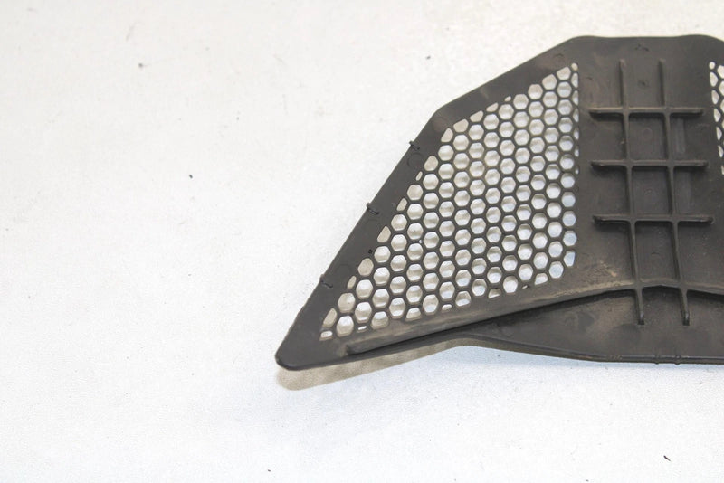 Polaris Oem Center Hood Screen Black 5435838-070 B45
