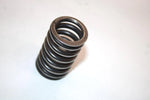 04 Honda Trx250ex A Oem Outer Valve Spring 14751-HN6-000 AHS
