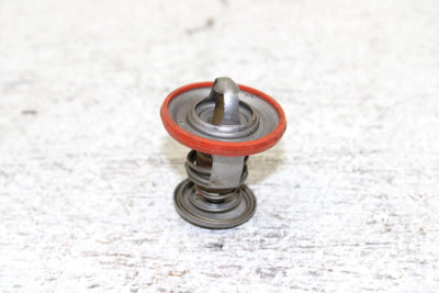 1996 Ski-doo Formula Iii 600 Oem Thermostat 420922519 SS18