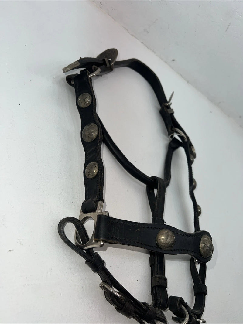 New Black Leather Full Horse Show Halter Gold accents 3C-15