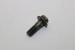 Arctic Cat OEM Oil Pump Union Bolt (Pair) 3004-346 Q2254