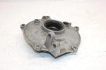2003 Honda Trx 250 Exa Sporttrax Ex Oem Rear Brake Plate 43010-HM8-000 AH10