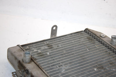2004 Honda Fourtrax Foreman Rubicon Oem Radiator 19010-HN2-505 AH5