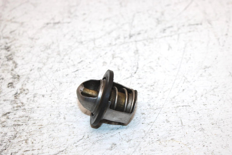 2002 Polaris Sportsman 700 Oem Thermostat 7052308 AP184