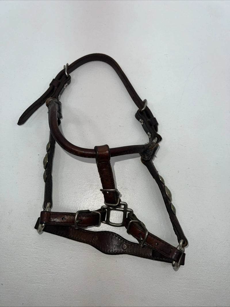 New Circle S Leather Yearling Show Halter Silver Buckles 3C-14