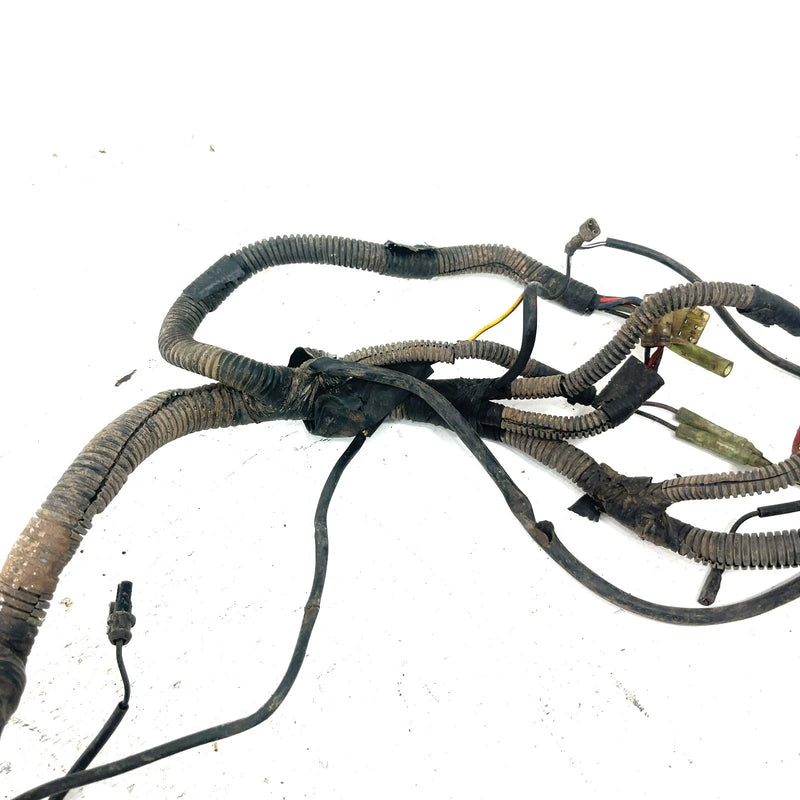 2001 Bombardier DS650 OEM Main Wire Harness 710000178 AB16
