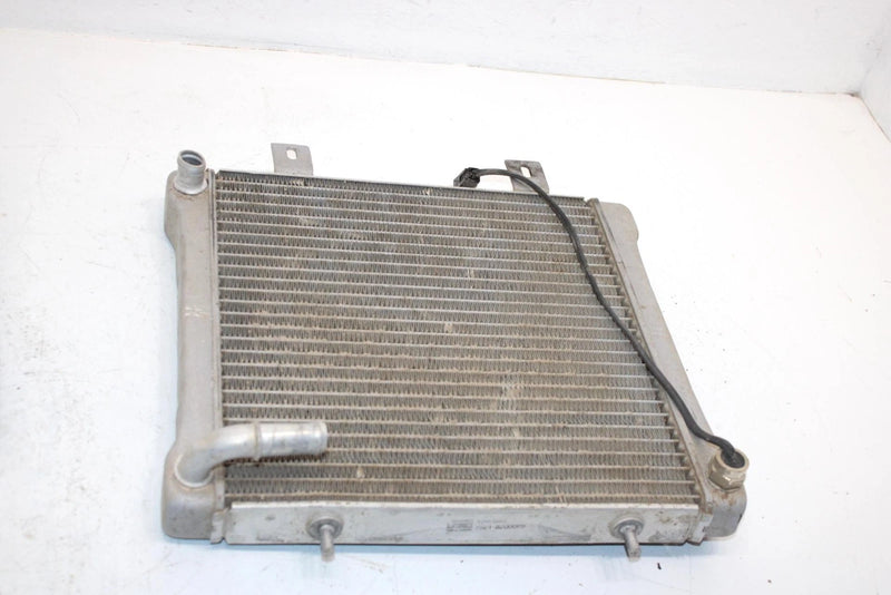 2001 Polaris Sportsman 500 Oem Radiator W/Screen 1240533 5433317 AP81
