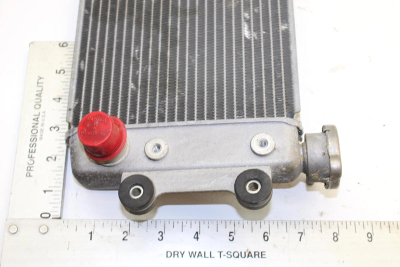 Yamaha Oem Engine Radiator 8GL-12461-00-00 B371