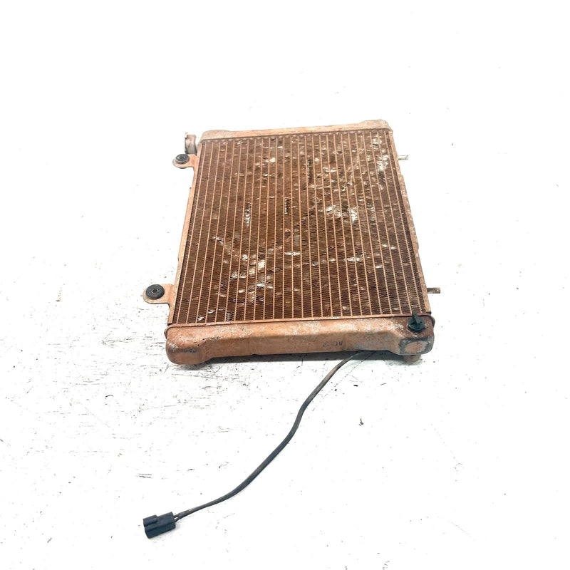 2001 Polaris Ranger 500 OEM Radiator  1240096 XP13