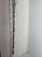 New Cow Print Genuine Leather Blazin Roxx Bling M Belt #N3510602 Z-23