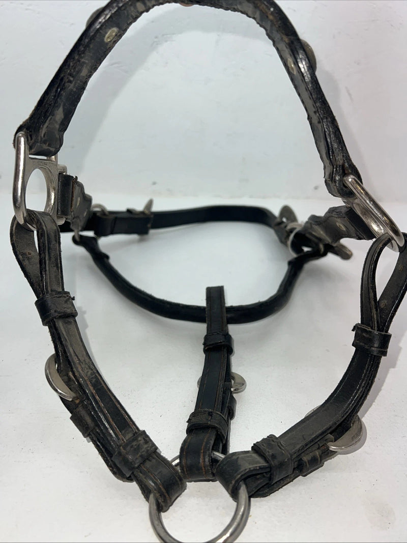 New Black Leather Full Horse Show Halter Gold accents 3C-15