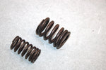 05 Yamaha  Bruin  4wd Hunter  Oem Valve Spring Set 22U-12113-00-00 AY38
