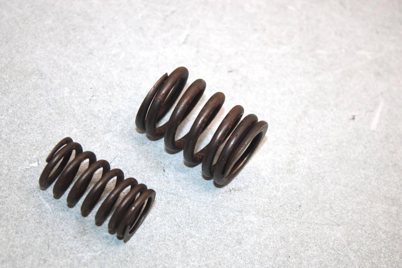 05 Yamaha  Bruin  4wd Hunter  Oem Valve Spring Set 22U-12113-00-00 AY38