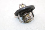 2006 Polaris Outlaw 500 Oem Thermostat 3088028 AP4