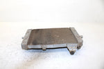 2004 Kawasaki Kfx 700 Oem Radiator 39060-0006 AK30