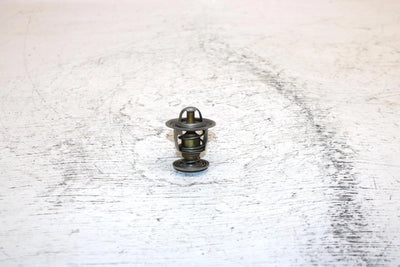 1998 Ski-doo Formula 500 Oem Thermostat 414834100 420922519 SS1