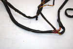 95 Arctic Cat Ext 580 Oem Main Wire Harness 0686-278 SAS1