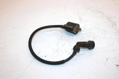 2007 Yamaha  Grizzly 350 2wd Oem Ignition Coil  5KM-82310-03-00 AY28