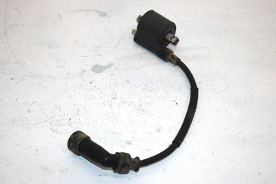 02 Arctic Cat 250 2x4 Oem Ignition Coil 3530-025 AA22