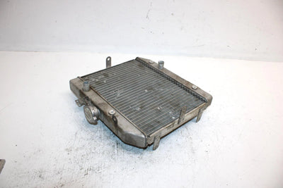 2004 Honda Fourtrax Foreman Rubicon Oem Radiator 19010-HN2-505 AH5