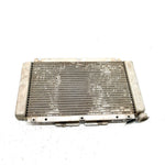 06-09 Yamaha Rhino 450 YXR450FA 4x4 OEM Radiator  5UG-E2461-00-00 XY2